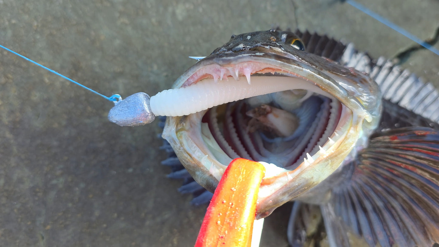 Rockfish Rapture - 4.25” Jerk Shad