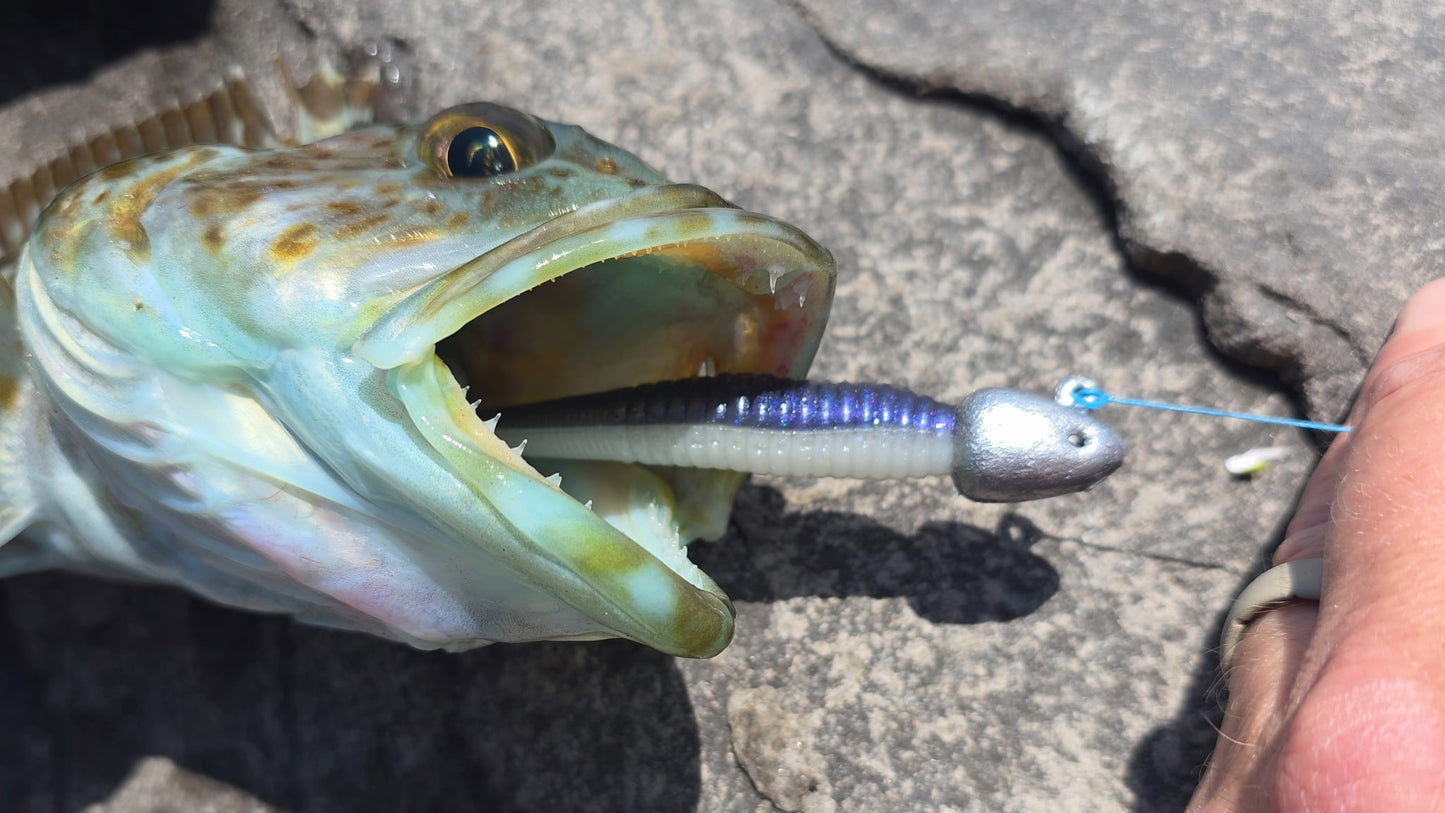 Rockfish Rapture - 4.25” Jerk Shad