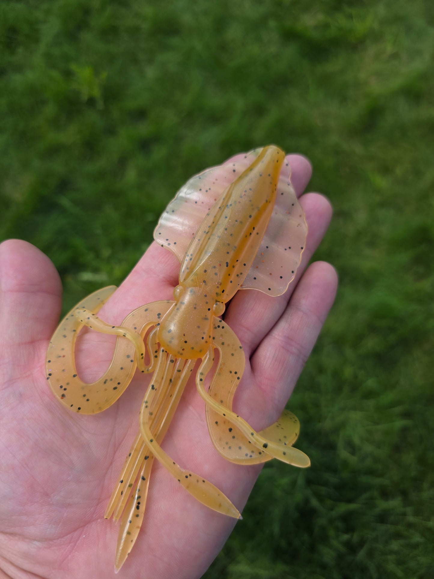 6" - Aussie Squid