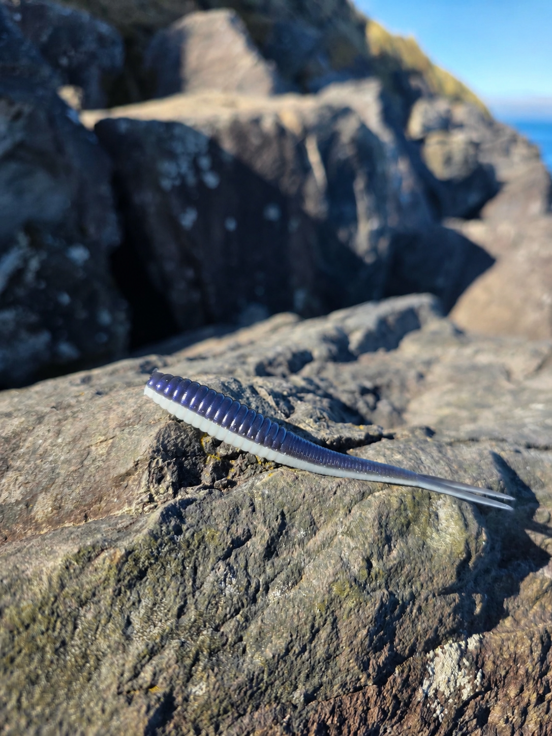 Rockfish Rapture - 4.25” Jerk Shad