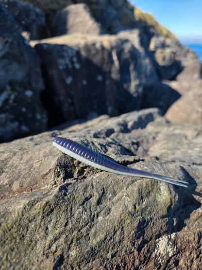 Rockfish Rapture - 4.25” Jerk Shad
